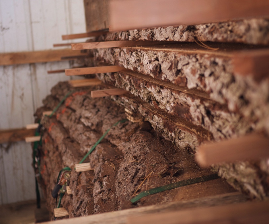 side view of large walnut slabs stacked in barn