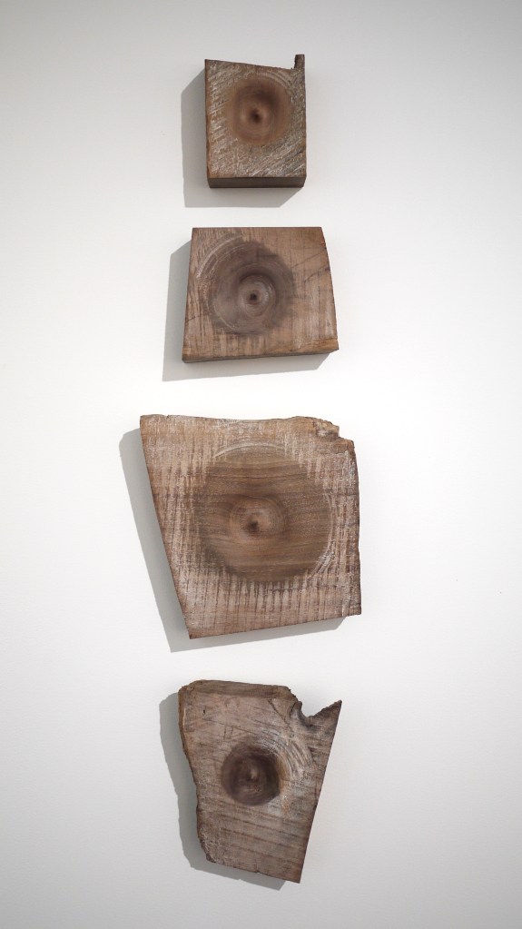 4 section wall art conceptual woodworking made of walnut and turned on lather