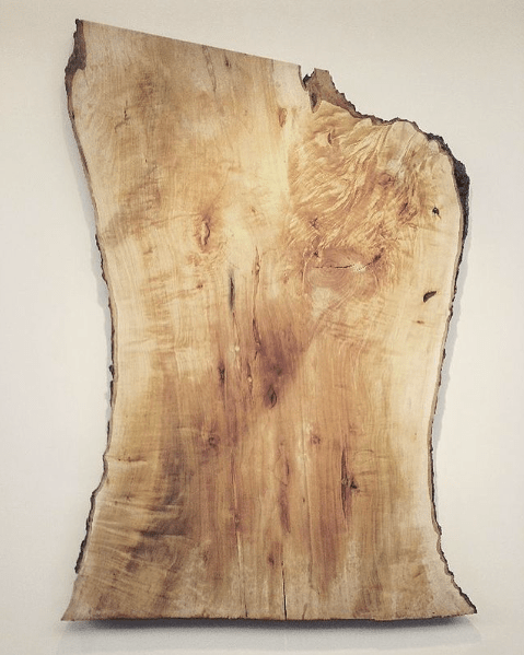 large silver maple slab with cream colored background